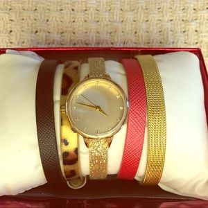 Watch Set with Interchangeable Bands